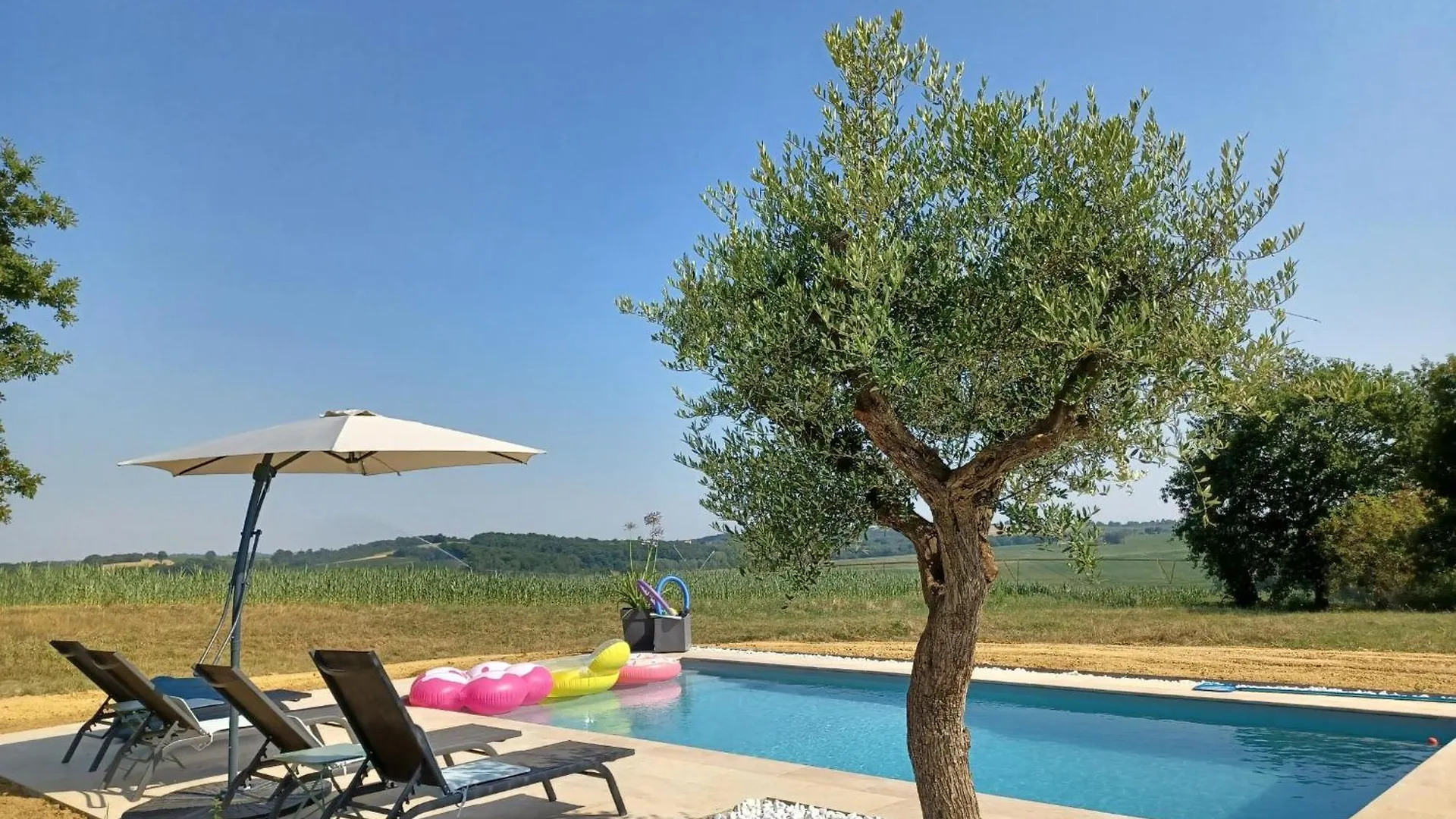 別荘 Maison De Vacances Gers Manciet